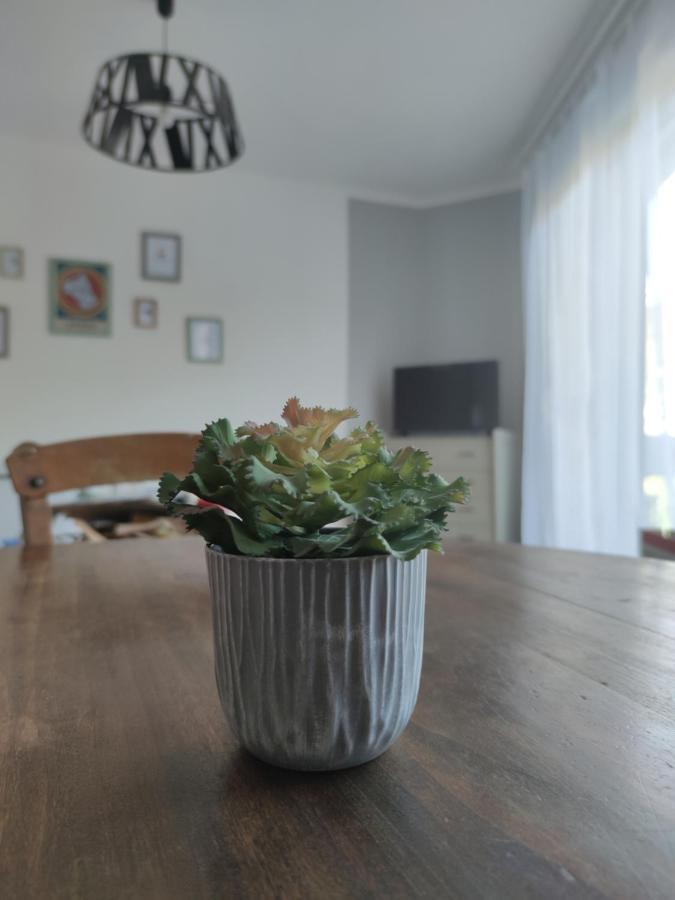 Les Plantades Aveyronnaises Apartman Saint-Georges-de-Luzençon Kültér fotó